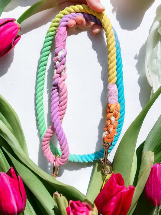 New Pastel Rainbow Training Rope Lead