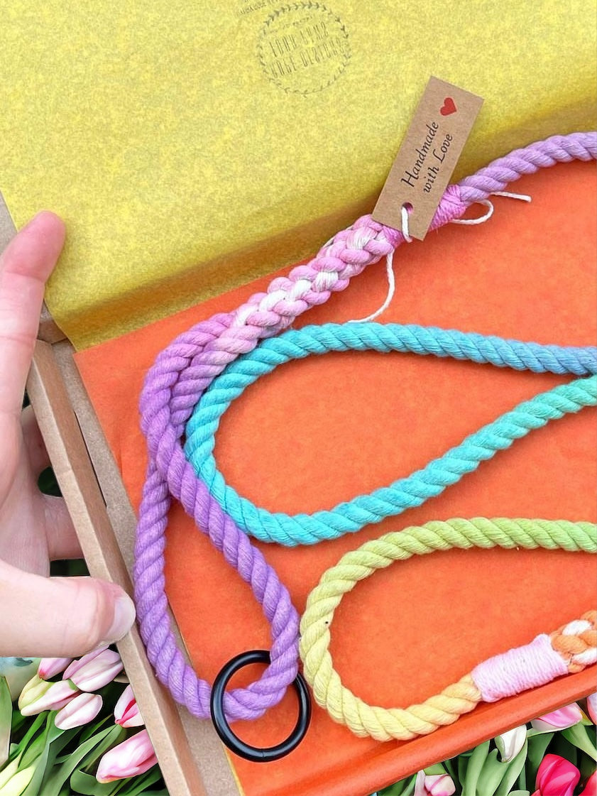 Pastel Rainbow Rope Lead