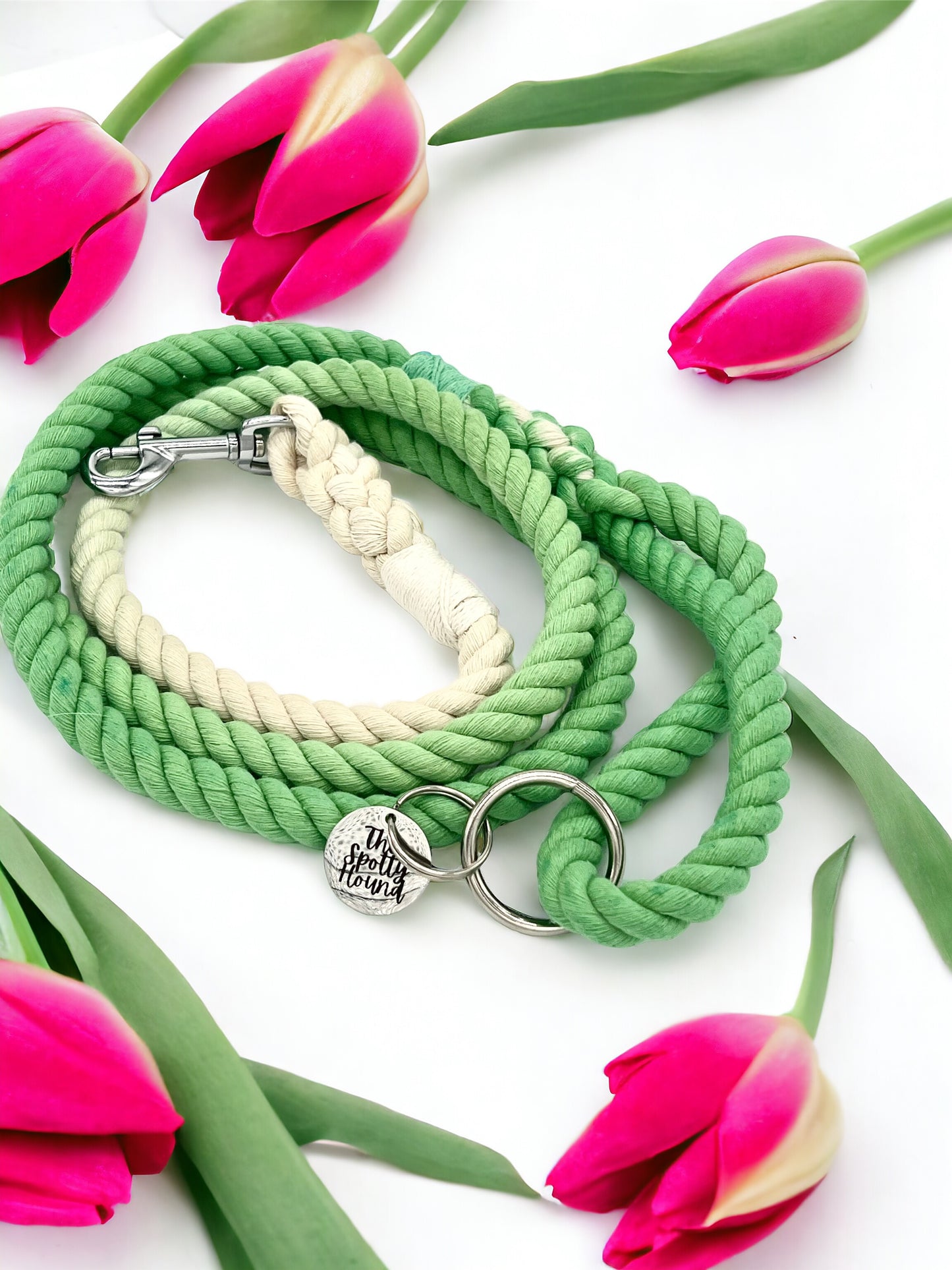 Leaf Green Ombre Rope Lead