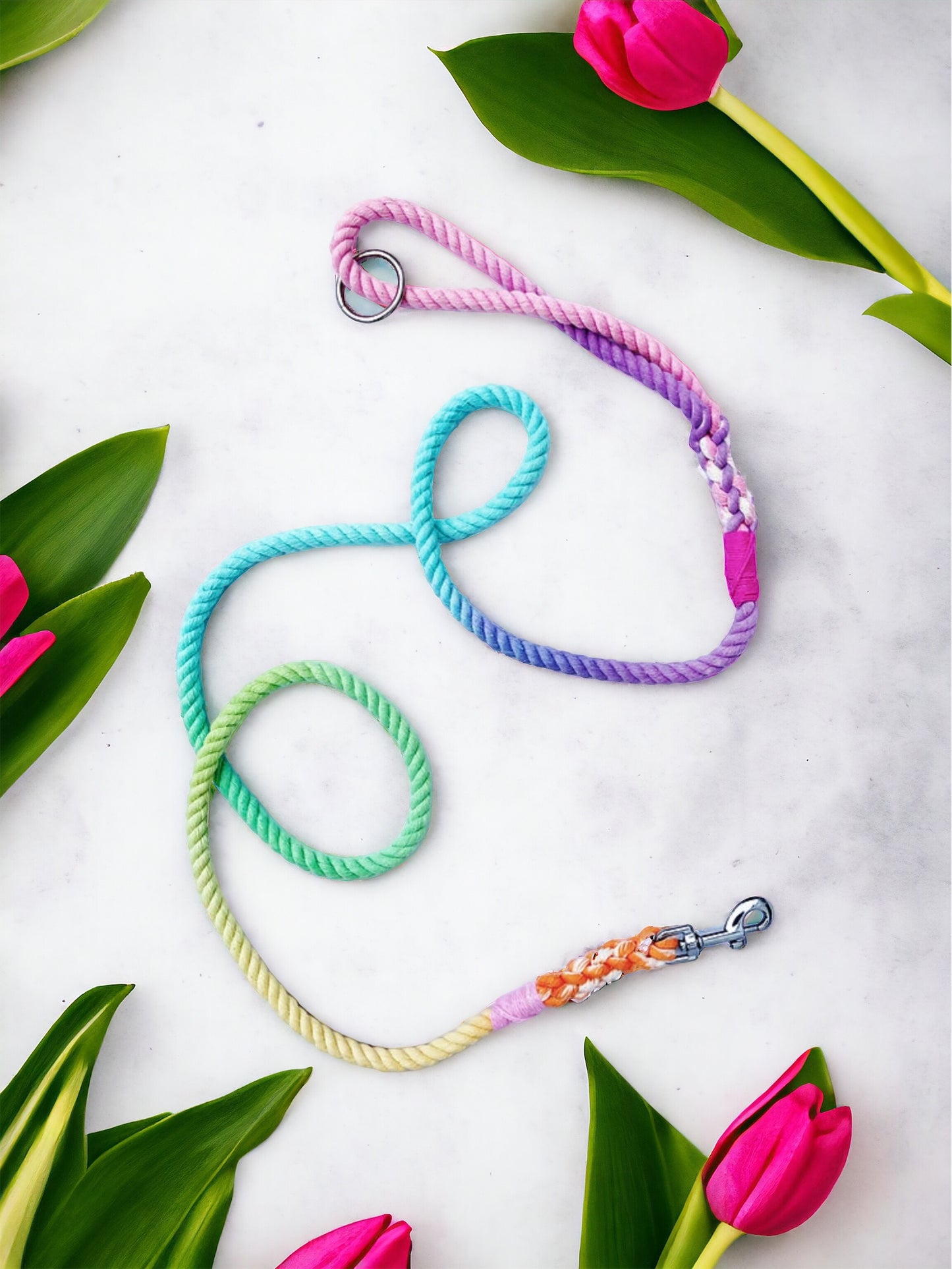 Pastel Rainbow Rope Lead